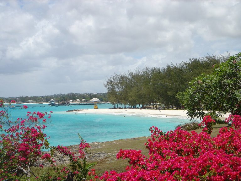 Miami Beach, Oistins