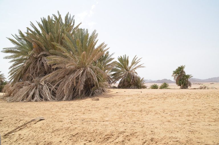 Nabq Protected Area