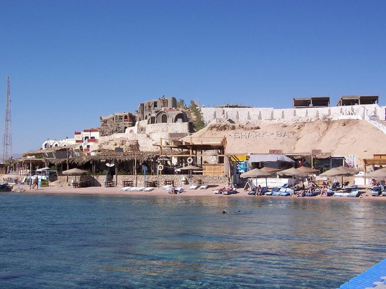 Sharks Bay